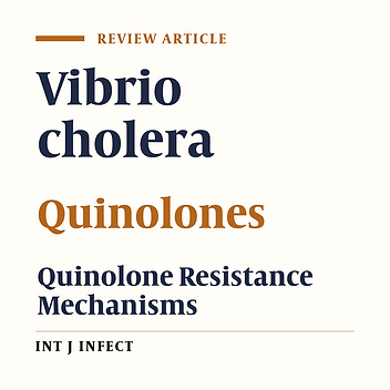 Antibiotic Resistance Mechanisms Focusing on Quinolones Resistance in Vibrio CHOLERAE