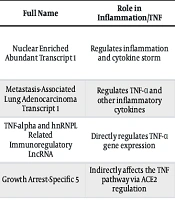 The Role of lncRNAs in the TNF Pathway in Patients with COVID-19: A Narrative Review