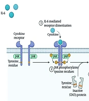 Epigenetic and Molecular Regulation of the IL-6 Axis in COVID-19: A Narrative Review of the Most Important microRNA-Mediated Mechanisms Involved in Cytokine Storm and Therapeutic Perspectives