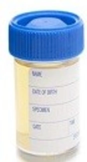 Cover image of the article: Evaluation of the Relationship Between Clinical Symptoms and Isolation of Fastidious Bacteria in Urine Samples of Elderly Females