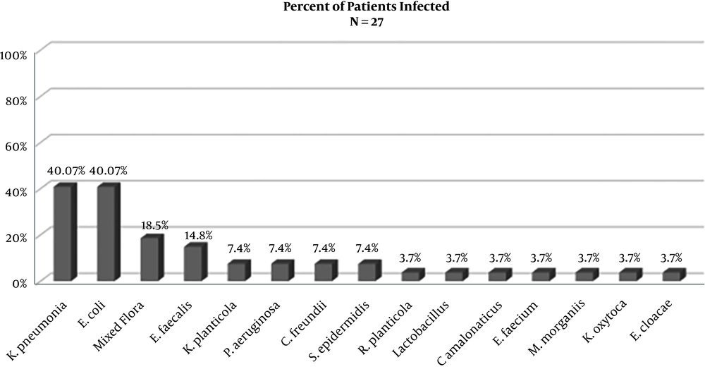 The percent of patients (n = 27) infected by each microorganism either as a primary infection or recurrent infection The percent of patients (n = 27) infected by each microorganism either as a primary infection or recurrent infection