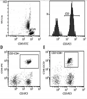 Cover image of the article: The Impact of Obstructive Sleep Apnea-Hypopnea Syndrome on T-Lymphocyte Subgroups and Natural Killer Cell Activity in the Peripheral Blood of Children