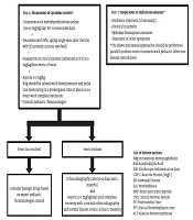 An Algorithmic Approach to Multisystem Inflammatory Syndrome in Children with COVID-19: Tehran Children’s Medical Center Protocol