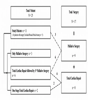 Cardiac Repair in Patients with Trisomy 18: Total or Palliative?