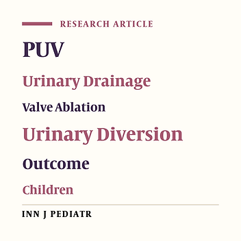 Posterior Urethral Valves; A single Center Experience