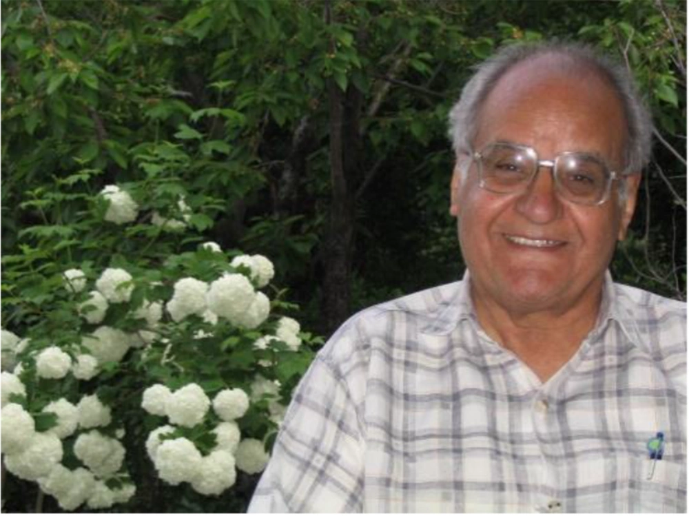 Professor Gholamreza Walizadeh Professor Gholamreza Walizadeh