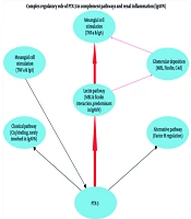 Predictive Role of Pentraxin-3 (PTX-3) in IgA Vasculitis Nephritis: Insights from a Prospective Study