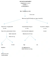 The Frequency of Vitamin B12 Deficiency in Newborns and Its Relationship with Methylmalonic Acid