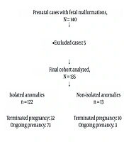 Prenatal Central Nervous System Malformations: Patterns and Outcomes at a Referral Center