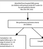 Comparison of Coronal Restorations in Primary Molars After Root Canal Treatment Under General Anesthesia: A 2-Year Follow-up
