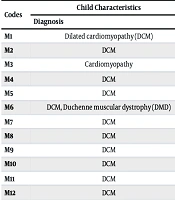 Parents' Experiences of Shared Decision-Making During Decision-Making for Pediatric LVAD Implantation: A Qualitative Study