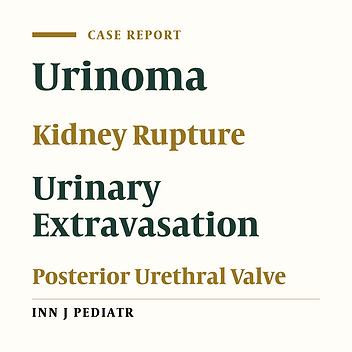 Spontaneous Rupture of Kidney Due to Posterior Urethral Valve– Diagnostic Difficulties