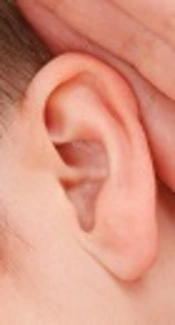 Cover image of the article: Early Phototherapy at Lower Total Serum Bilirubin Can Decrease Auditory Neuropathy Disorder