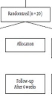Effect of Whole Body Vibration with Stretching Exercise on Active and Passive Range of Motion in Lower Extremities in Children with Cerebral Palsy: A Randomized Clinical Trial