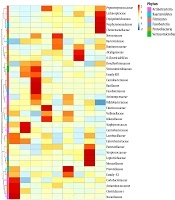 Effects of Different Modes of Delivery and Feeding on Intestinal Flora of Newborns and Infants with Different Ages