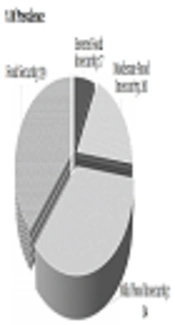 The Relationship Between Food Insecurity and Anthropometric Measures at Birth in Low Income Households