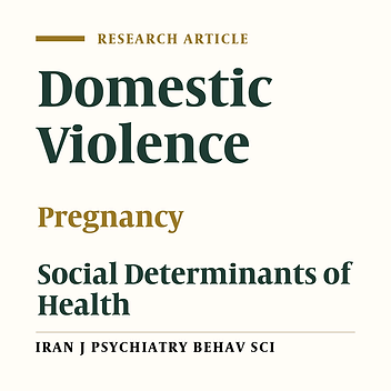 Investigating the Relationship Between Structural Determinants of Health and Domestic Violence Against Pregnant Women Based on the World Health Organization Model