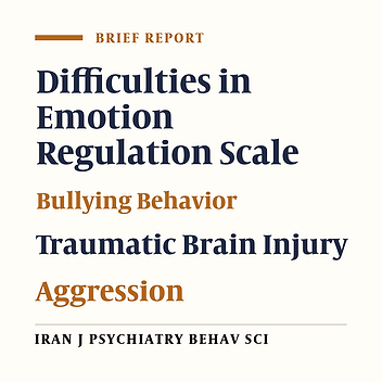 The Role of Emotion Regulation as a Mediator Between Difficulties in Emotion Regulation and Aggression and Bullying Behavior in Motorcyclists with Mild Traumatic Brain Injury