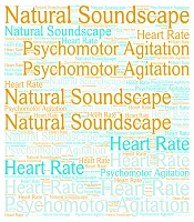 Immediate Effects of a Headphone-Delivered Natural Soundscape on Agitation and Physiological Parameters in Intensive Care Unit Patients: A Randomized Clinical Trial