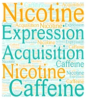 Evaluation of the Effect of Caffeine on the Acquisition and Expression of Nicotine-Induced Conditioned Place Preference