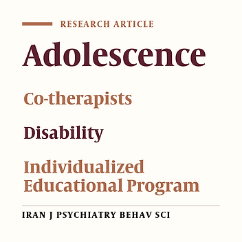 Evaluating the Cognition, Behavior, and Social Profile of an Adolescent With Learning Disabilities and Assessing the Effectiveness of an Individualized Educational Program