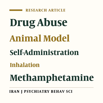Inhalant Self-Administration of Methamphetamine: The Most Similar Model to Human Methamphetamine Addiction