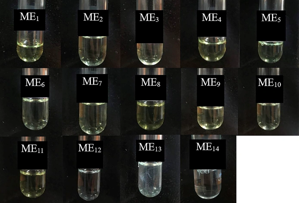 Stability of MEs after 15 months of storage at room temperature. As seen, all formulations except ME<sub>13</sub> were clear without any turbidity or sedimentation. Stability of MEs after 15 months of storage at room temperature. As seen, all formulations except ME<sub>13</sub> were clear without any turbidity or sedimentation.
