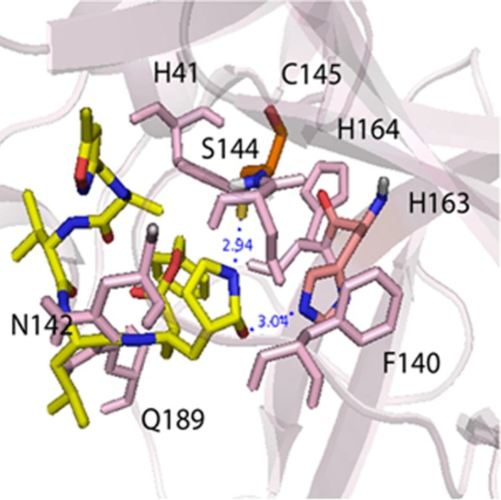 The main interactions between <b>N3</b> ligand and M<sup>pro</sup> protein