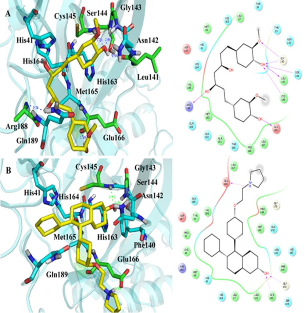 The IFD generated interactions. A) 3D and 2D interactions between curcumin and covid-19 M<sup>pro</sup> protein; B) 3D and 2D interactions between lasofoxifene and covid-19 M<sup>pro</sup> protein