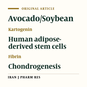 Investigation and Comparison of the Effect of TGF-β3, kartogenin and Avocado/Soybean Unsaponifiables on the In-vitro and In-vivo Chondrogenesis of Human Adipose-Derived Stem Cells on Fibrin Scaffold