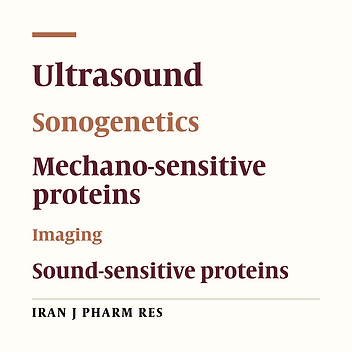 Ultrasound and Sonogenetics: A New Perspective for Controlling Cells with Sound