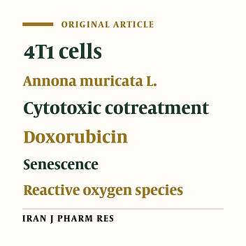 Synergistic Cotreatment Potential of Soursop (Annona muricata L.) Leaves Extract with Doxorubicin on 4T1 Cells with Antisenescence and Anti-reactive-oxygen-species Properties