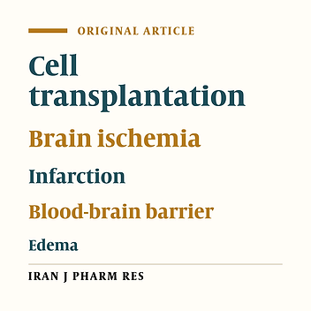 The Effect of Allograft Transplantation of Sertoli Cell on Expression of NF-кB, Bax Proteins, and Ischemic Tolerance in Rats with Focal Cerebral Ischemia