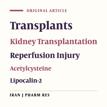 Early Graft Function in Deceased Donor Renal Recipients: Role of N-Acetylcysteine