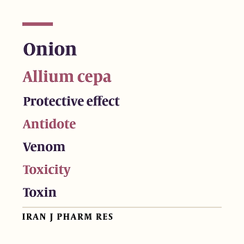 Onion (Allium cepa) and its Main Constituents as Antidotes or Protective Agents against Natural or Chemical Toxicities: A Comprehensive Review