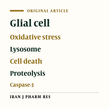 Evaluation of Molecular and Cellular Alterations Induced by Neuropathic Pain in Rat Brain Glial cells