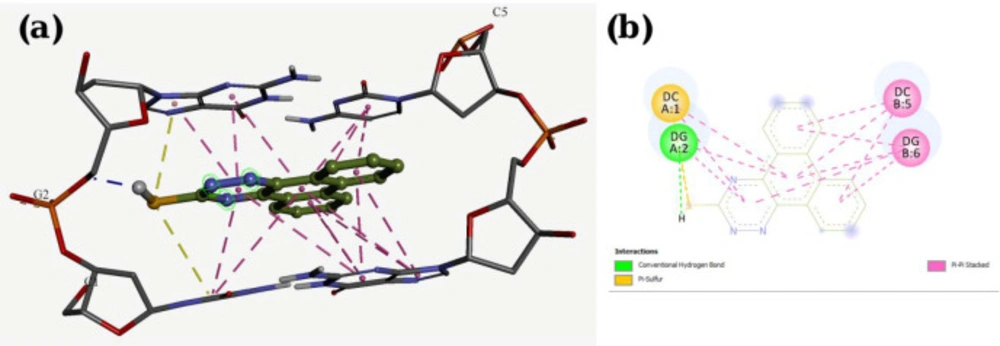 Docking result and interactions of compound <b>P1</b> with DNA base pairs in (a) 3D and (b) 2D representation. (G: deoxyguanine, C: deoxycytidin).