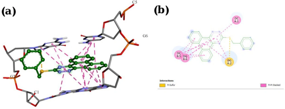 Docking result and interactions of compound <b>P11</b> with DNA base pairs in (a) 3D and (b) 2D representation. (G: deoxyguanine, C: deoxycytidin)