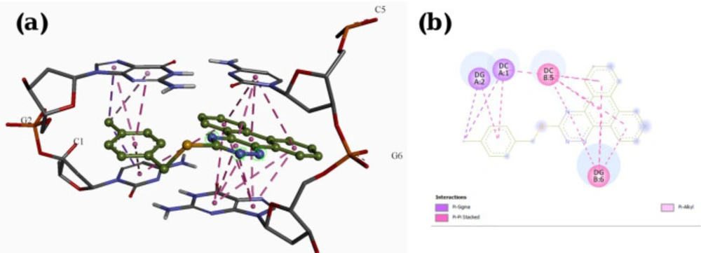 Docking result and interactions of compound <b>P15 </b>with DNA base pairs in (a) 3D and (b) 2D representation. (G: deoxyguanine, C: deoxycytidin)