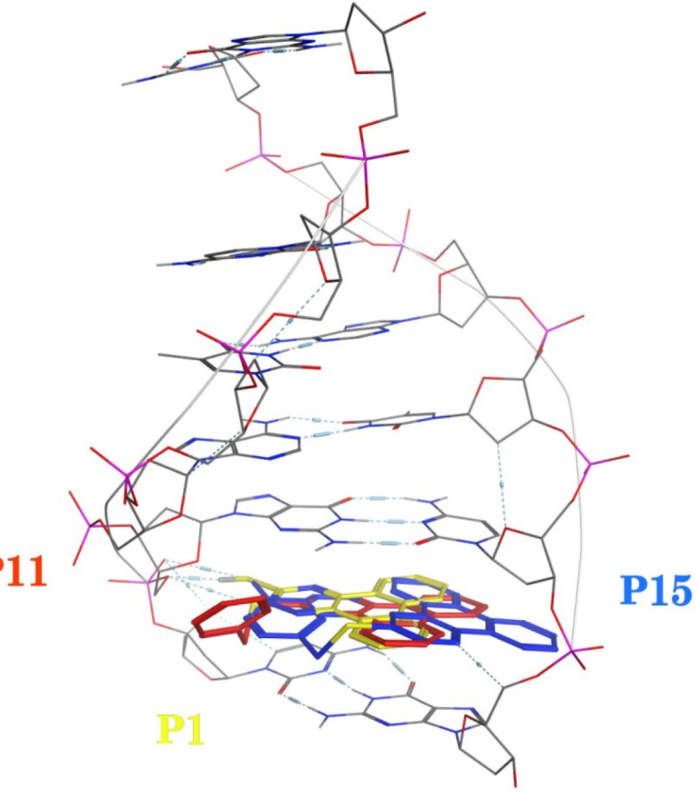 Dock poses of compounds <b>P1</b> (yellow), <b>P11</b> (red) and <b>P15</b> (blue) with DNA