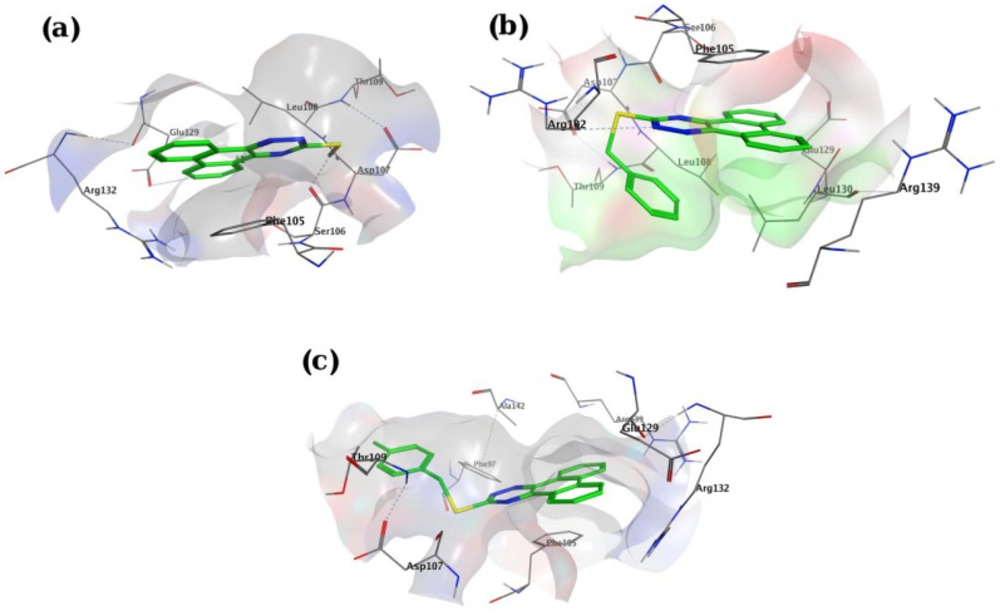 View of binding pocket of Bcl-2 docked with compounds <b>P1</b> (a), <b>P11</b> (b) and <b>P15</b> (c). Bcl-2 is shown as surface, and for ligands carbon, nitrogen and sulfor atoms are shown in green, blue and yellow, respectively