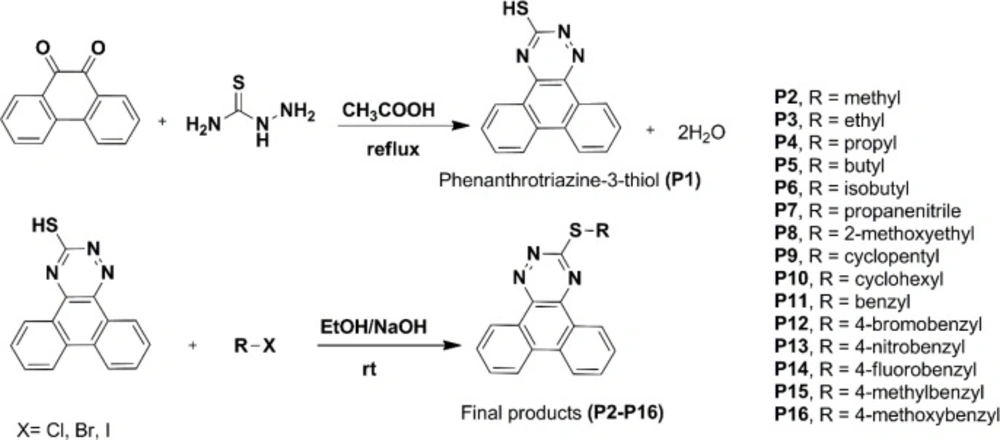 Synthetic approaches to compounds P1-P16
