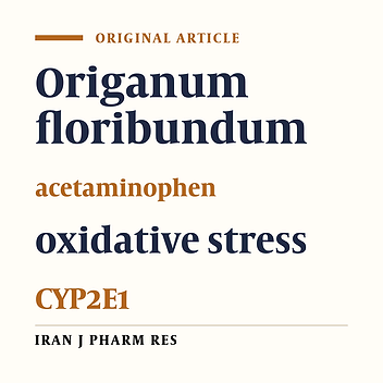 CYP2E1 inhibition and NF_κB Signaling Pathway are Involved in the Protective Molecular Effect of Origanum floribundum against Acetaminophen-induced acute Hepatotoxicity in Rats