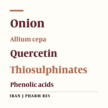 Pharmacological Properties of Allium cepa, Preclinical and Clinical Evidences; A Review