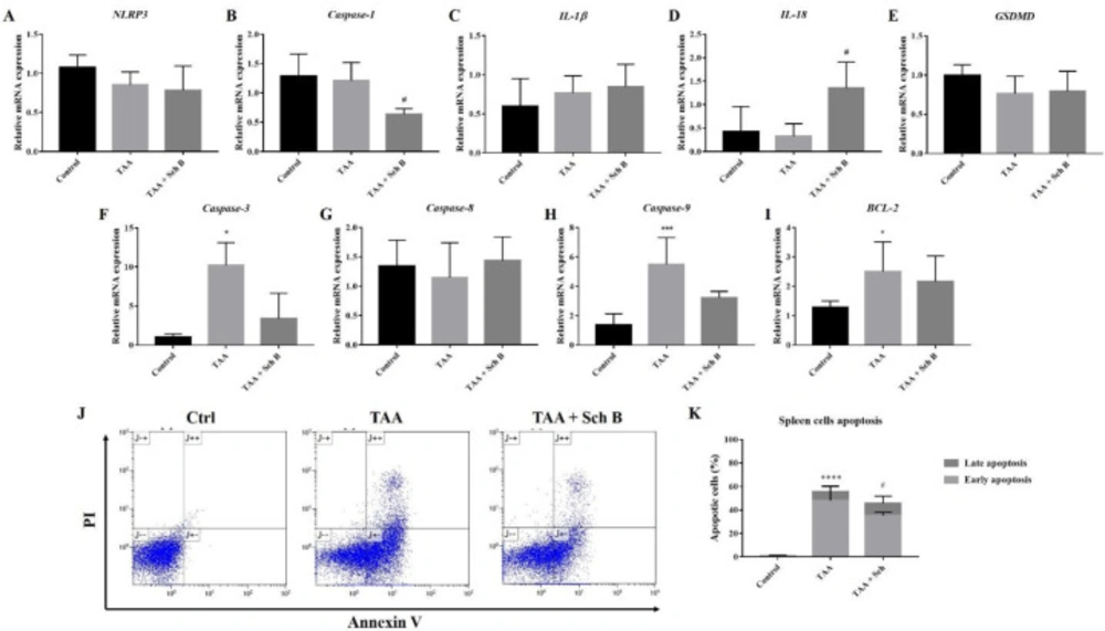 Analysis of inflammasome and apoptosis in the spleen. (A-E) Transcription levels of inflammasome markers in the spleen. (F-I) Transcription levels of apoptotic markers in the spleen. Results were presented as mean ± S.D. (n = 5). (J) Representative plots showing Annexin V-FITC/PI staining. (K) Percentages of apoptotic cells, shown as the mean ± SD (n = 5). <sup>*</sup><i>P</i>-value < 0.05, <sup>***</sup><i>P</i>-value < 0.001, <sup>****</sup><i>P</i>-value < 0.0001 compared with control; <sup>#</sup><i>P</i>-value < 0.05 compared with TAA