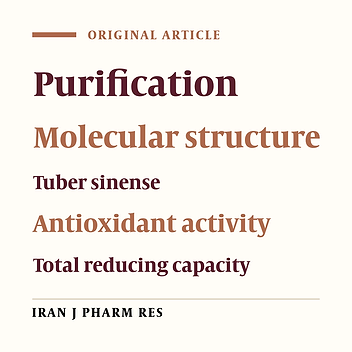 Isolation, Purification and Antioxidant Activity of The Polysaccharides from Chinese Truffle Tuber sinense