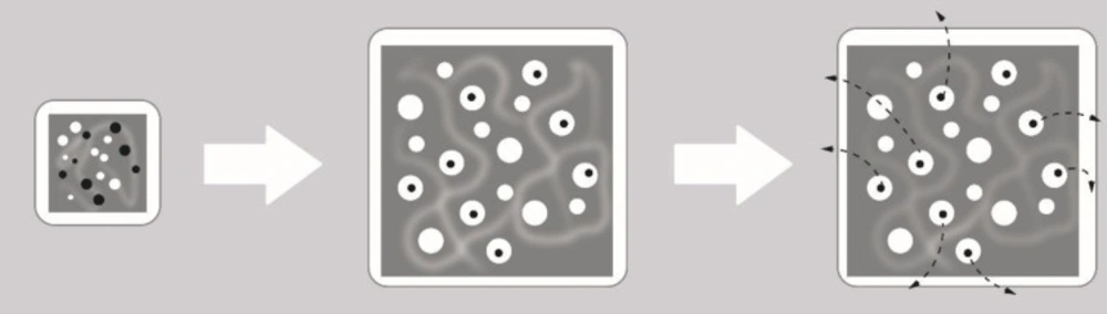 Diffusion release mechanism of drug through the polymeric matrix (<a href="#B31">31</a>).