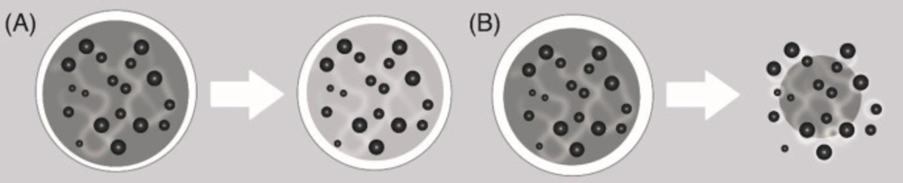 (A) Mass erosion and (B) Surface erosion (<a href="#B31">31</a>)