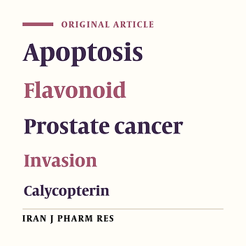 Flavonoid Calycopterin Induces Apoptosis in Human Prostate Cancer Cells In-vitro
