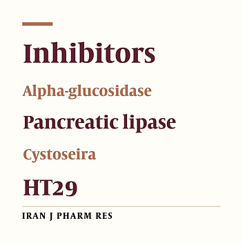 Macroalgae of Izmir Gulf: Cystoseira barbata, Cystoseira compressa and Cystoseira crinita species have high α-glucosidase and Moderate Pancreatic Lipase Inhibition Activities